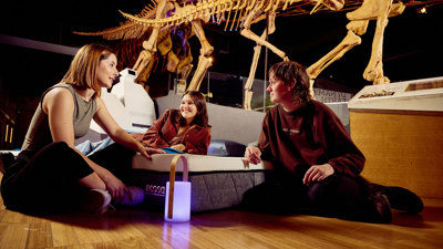 Three people gather around an Ecosa mattress on the floor below the dinosaurs of Dinosaur Walk exhibition in Melbourne Museum.