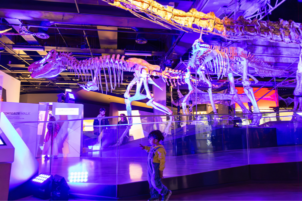 A small child walks along the main thoroughfare of Dinosaur Walk exhibition during Halloween at the Museum. 