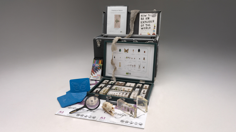 Various objects and props relating to exploring nature used in outreach programs