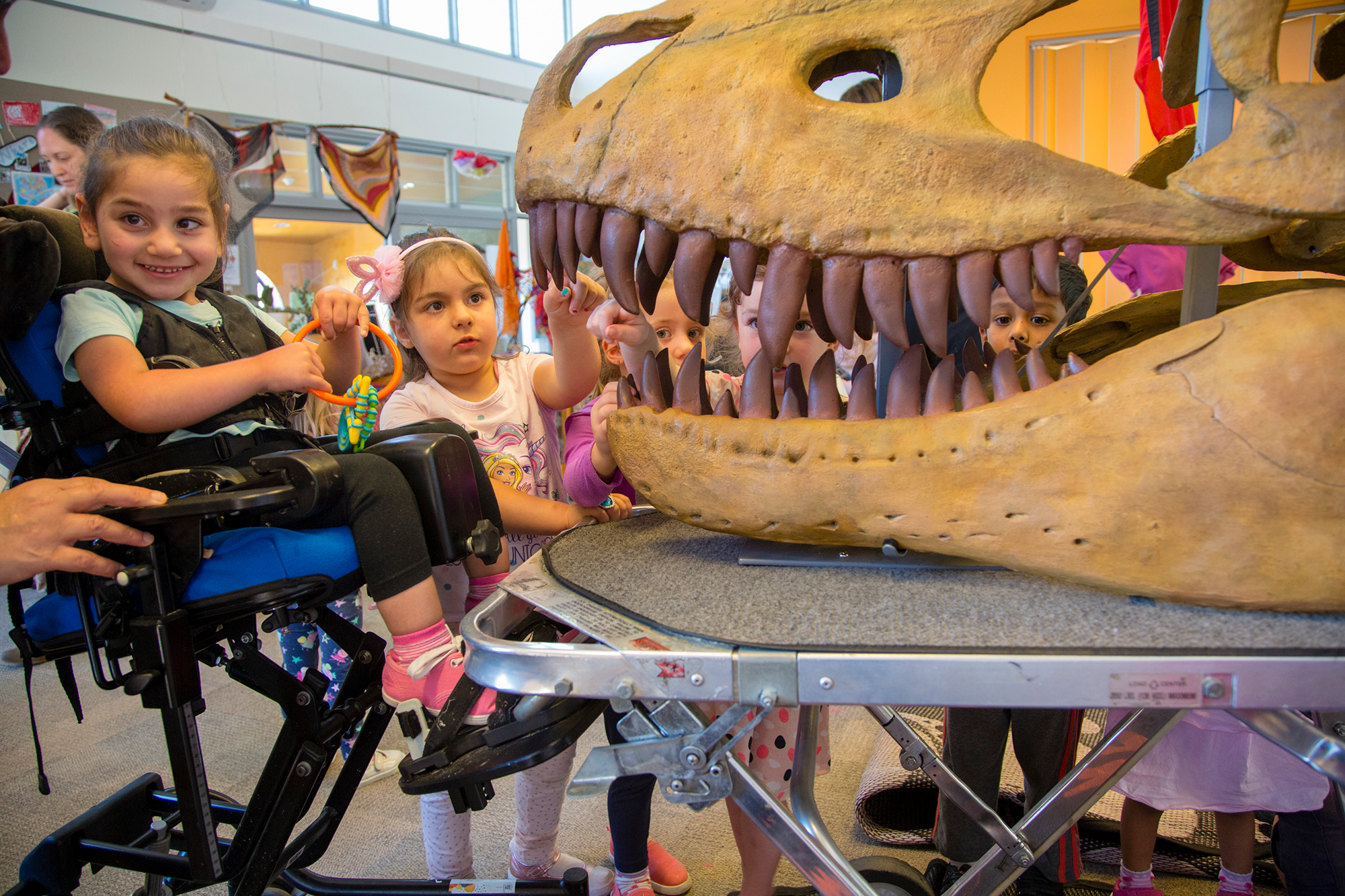 Children in wheelchairs playing with the teeth of a dinosaur. Text reads "accessibility and Inclusion Action Plan 2024-2027. Museums Victoria Logo.