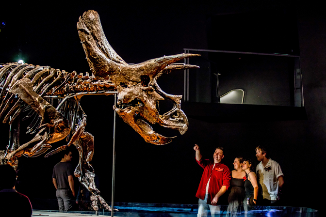 People point up in wonder at the skeleton of Horridus, the triceratops.