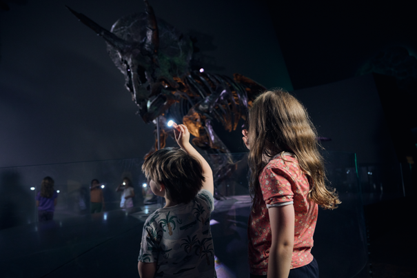 Two children pointing torches at horridus the triceratops during Family Museum Sleepovers at Melbourne Museum.