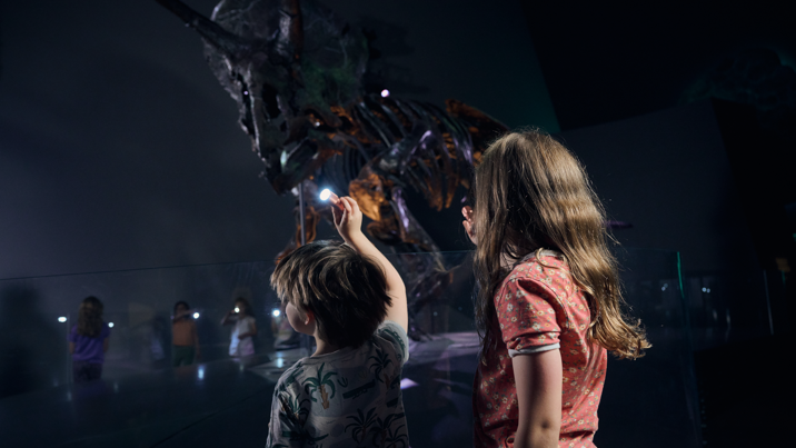 Two children pointing torches at horridus the triceratops during Family Museum Sleepovers at Melbourne Museum.