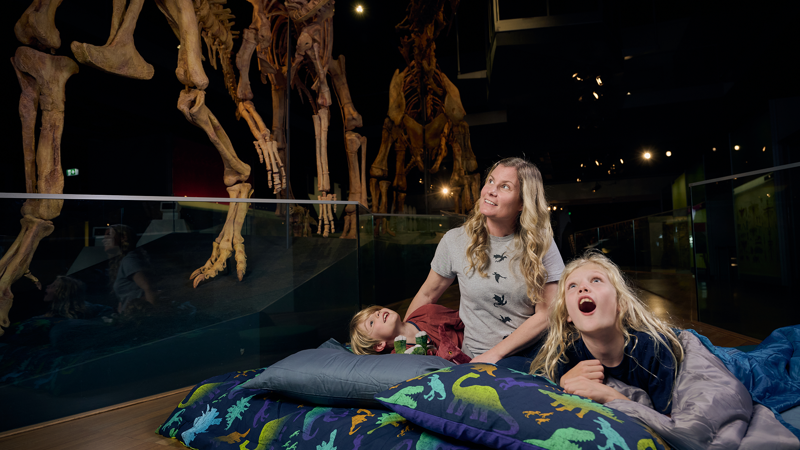 Museum Sleepovers