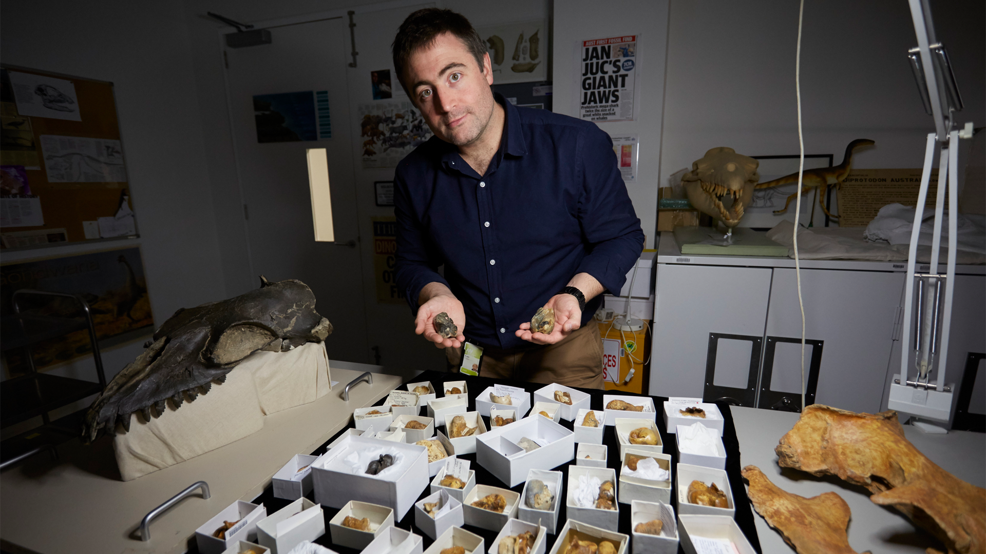 Whale collection samples laid in front of Dr Erich Fitzgerald, Senior Curator of Palaeontology at Museums Victoria.