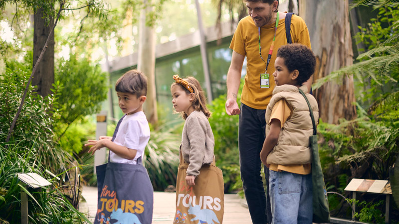 Tiny Tours: Big Adventures for Little Explorers