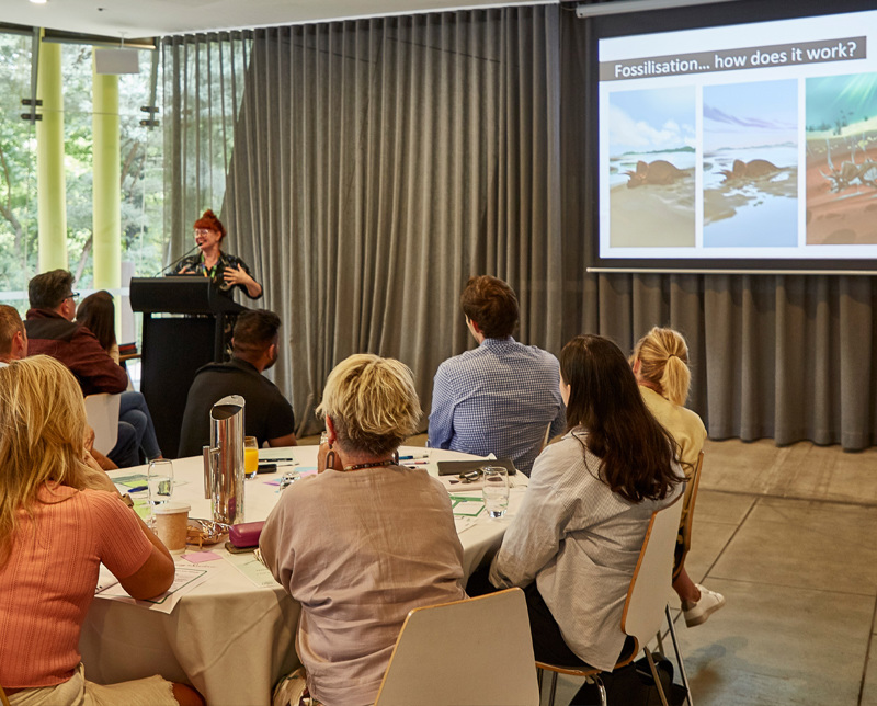 Cultural Competency Program for Teachers and Corporations