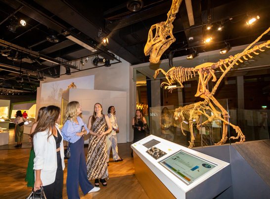 Museum goers exploring Dinosaur Walk after night.