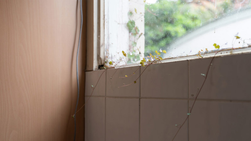 Counter-Histories of the City on Unceded Lands