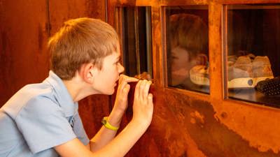  MV educational presenter engaging with primary school student viewing the Getting In exhibition in Immigration Museum.