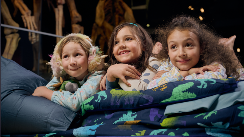 Family Museum Sleepovers (Ages 6 to 12)