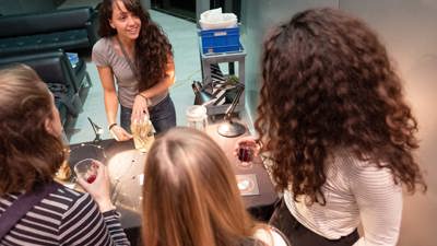 Museum goers drink wine while learning about the Museum's amazing collections.