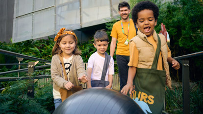 Children rolling an exercise ball down the ramp of Gandel Gondwana Garden during a Tiny Tour at Melbourne Museum.