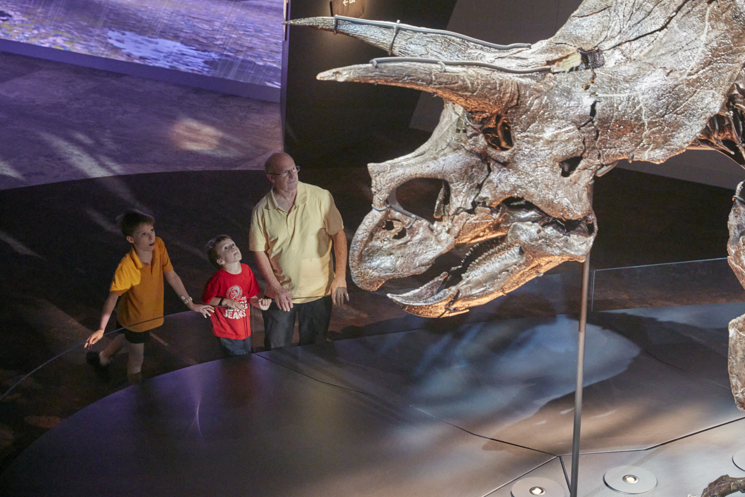 A man and his children looking at Horridus the Triceratops.