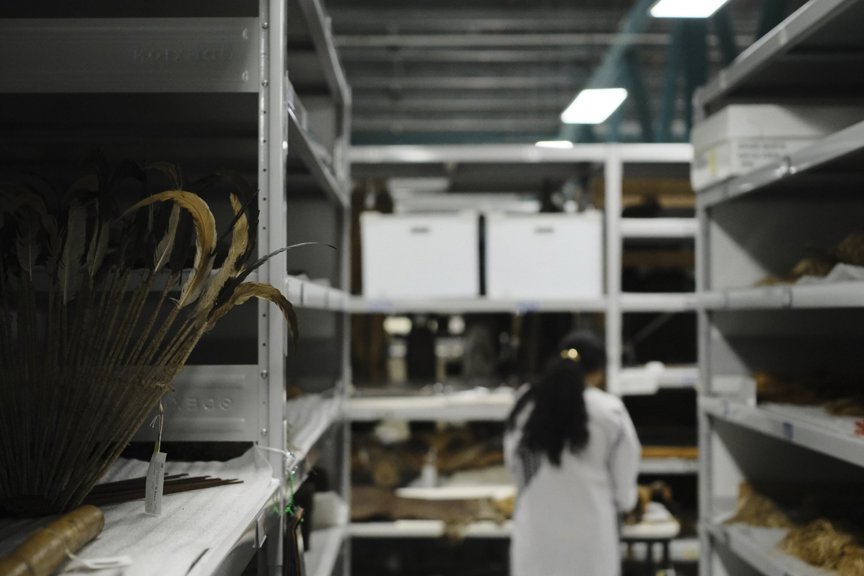 A woman in a white lab coat inspects collection items in the collection store. 
