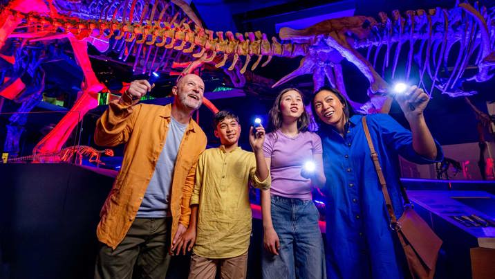 A family of four using torches under a dinosaur during the torchlight tour at family museum sleepovers.