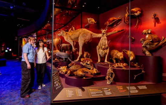 Secondary school students visiting Melbourne Museum's newest exhibition Our Wondrous Planet (OWP) to promote the school education program.
