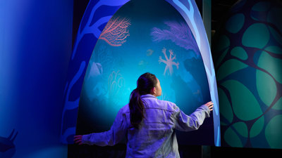 Person uses an interactive display inside Our Wonderous Planet exhibition at Melbourne Museum. They have their back to the camera.