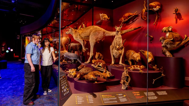 Secondary school students visiting Melbourne Museum's newest exhibition Our Wondrous Planet (OWP) to promote the school education program.