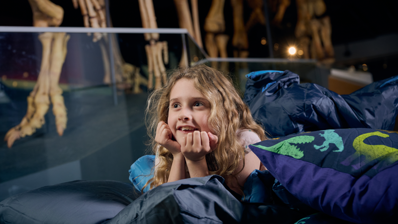 Family Museum Sleepovers (Ages 10 to 16)