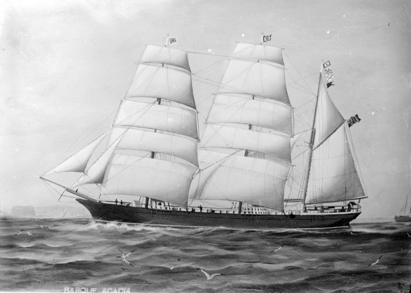 A glass negative of the three-masted barque Acacia, a similar ship to the Dale Park, which brought Anne Trotter to Australia.