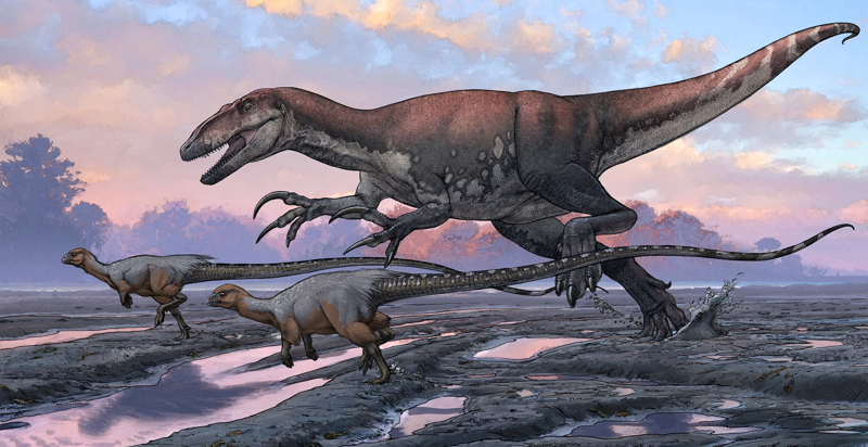 Meet an ancient Australian carnivore